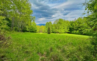 Pierwsza licytacja nieruchomości (elektroniczna) – 19.11.2025 r. godz. 10:00