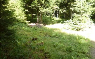 Pierwsza licytacja nieruchomości (elektroniczna) – 29.10.2025 r. godz. 11:00