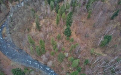 Druga licytacja nieruchomości (elektroniczna) – 25.03.2026 r. godz. 9:00